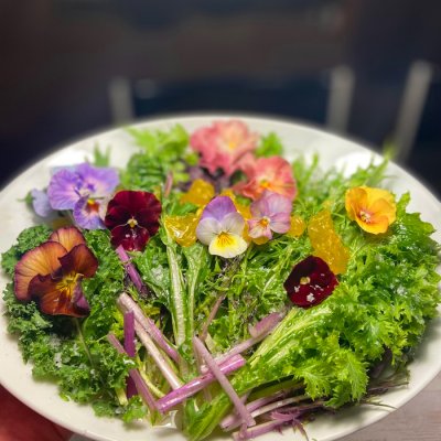 Edible flowers and salad