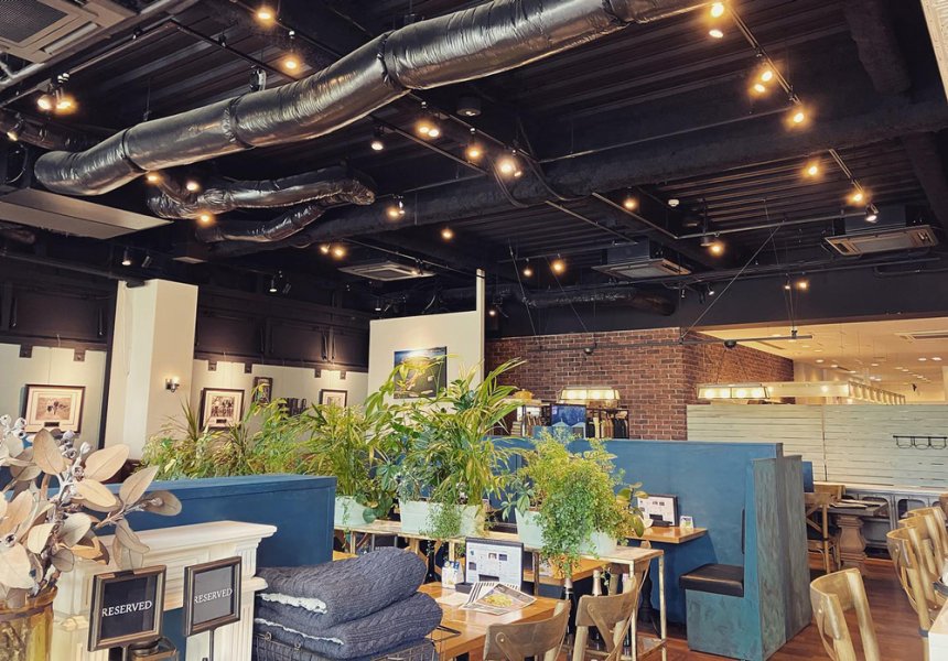 A calming space with houseplants