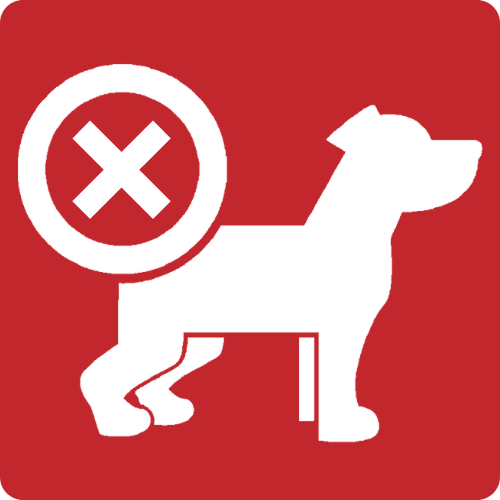 Pets not allowed