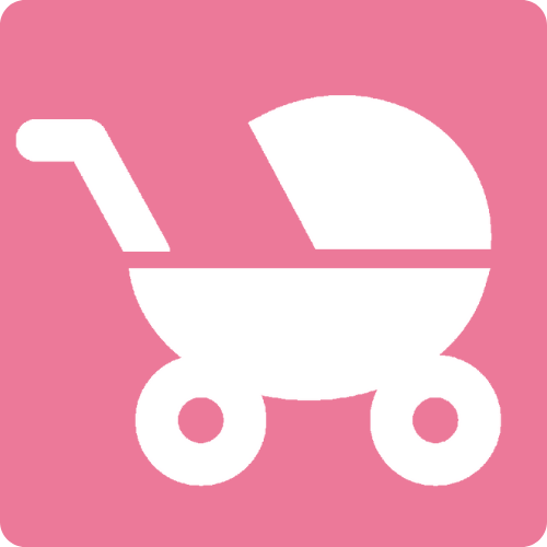 Stroller rental