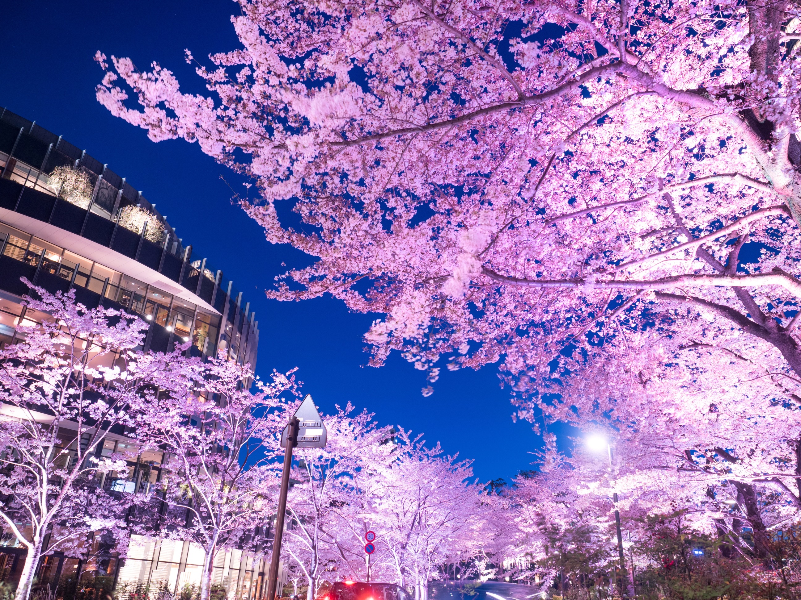 東京ミッドタウン