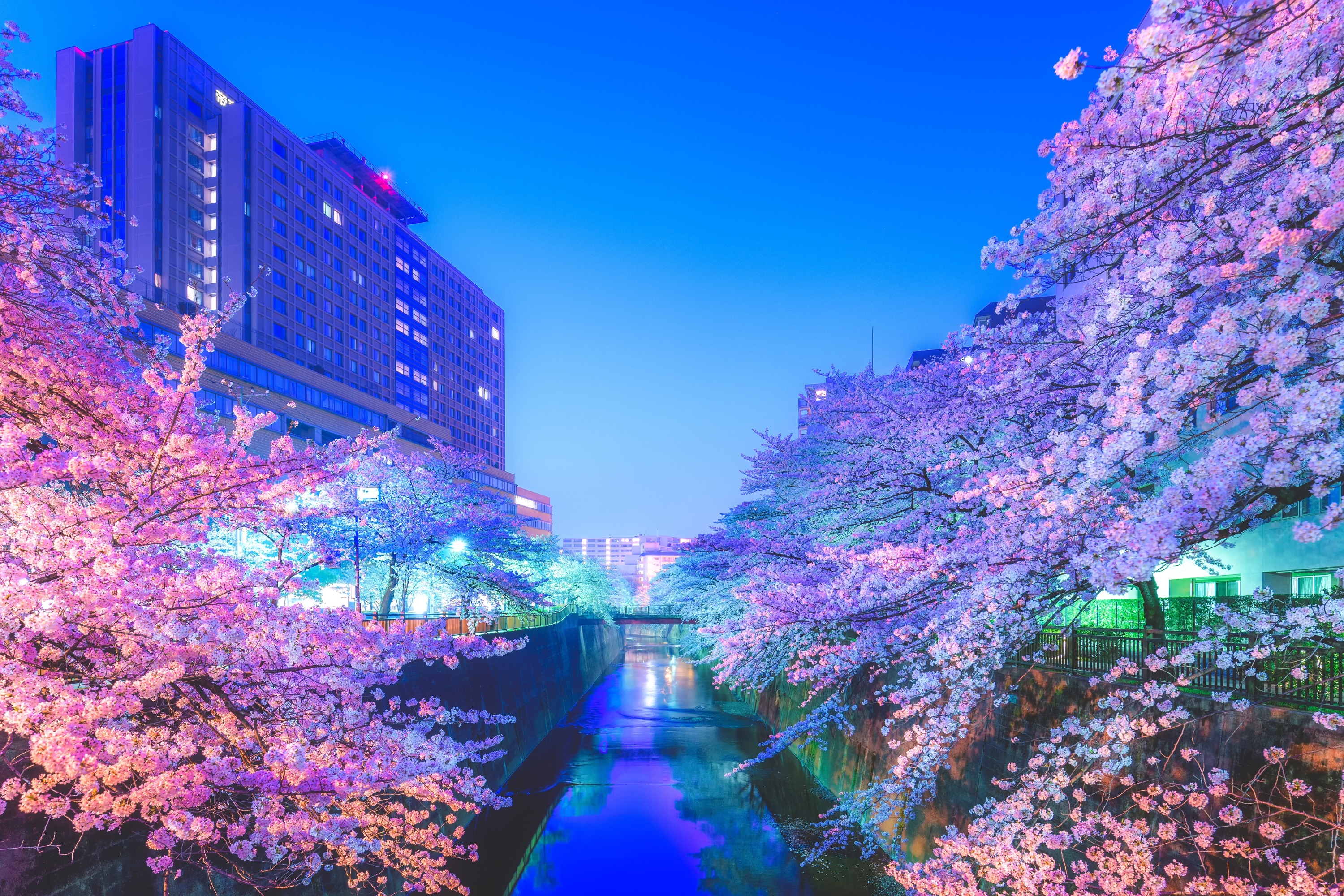 石神井川