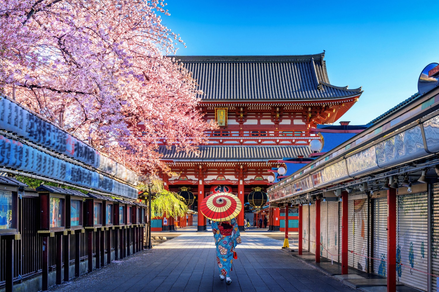 東京の街歩きと文化体験をイメージした写真